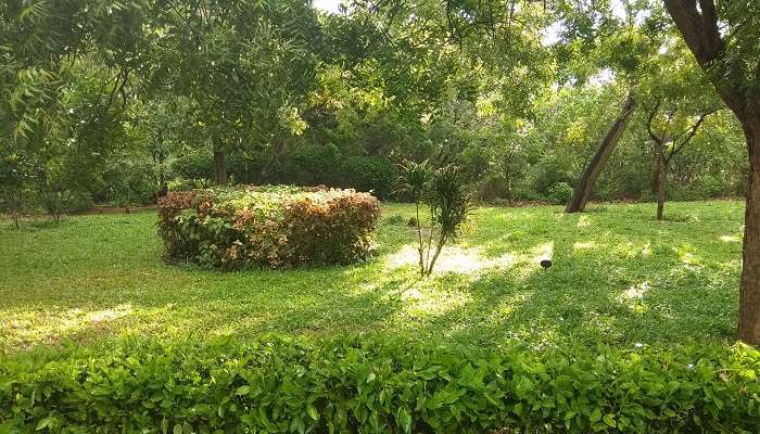 Jardin de Ganesh, c'est l'une des meilleur lieux à visiter à Pondichéry