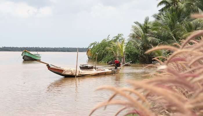 La vue magnifiques Konaseema, c'est l'une des Lieux à visiter à Andhra Pradesh