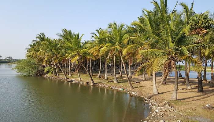 La plage de paradise, c'est l'une des meilleur lieux à visiter à Pondichéry