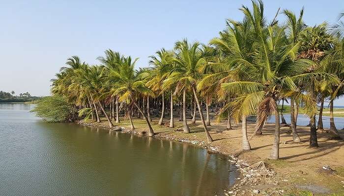 best place to visit on your one day trip to Pondicherry from Chennai