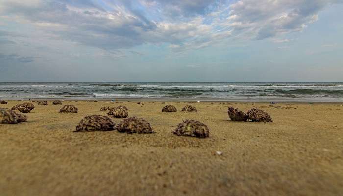 Explorez la Plage de Veerampattinam