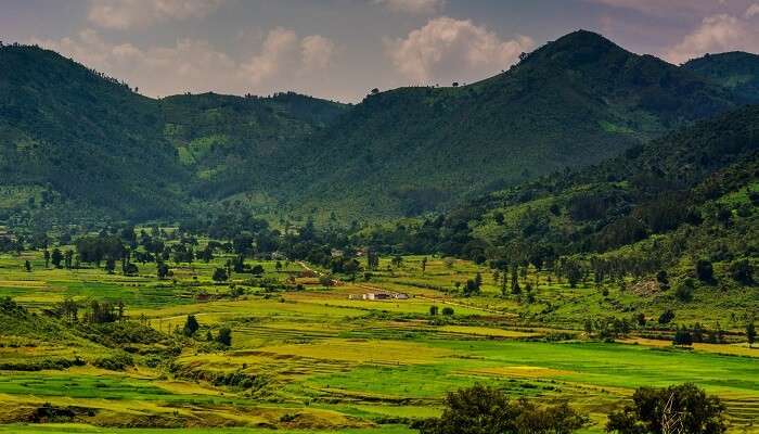 Belle vue verdoyante sur la vallée d'Araku, c'est l'une des meilleurs Lieux à visiter à Andhra Pradesh