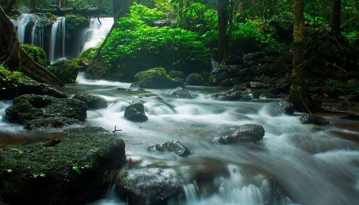 La vue de Cascades en Agumbe, C'est l'une des meilleur lieux à visiter en Inde