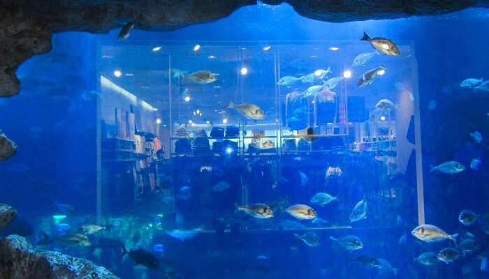 Aquarium et zoo sous-marin de Dubaï