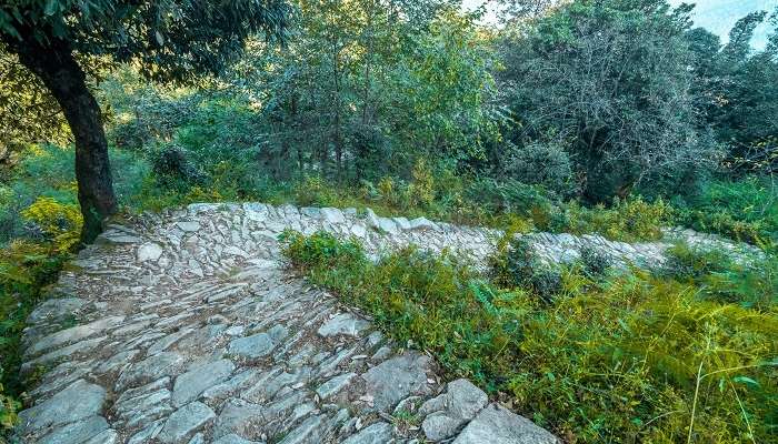 La trek de Devaria,Tal, à Chopta, c'est l'une des meilleur lieux à visiter en Inde