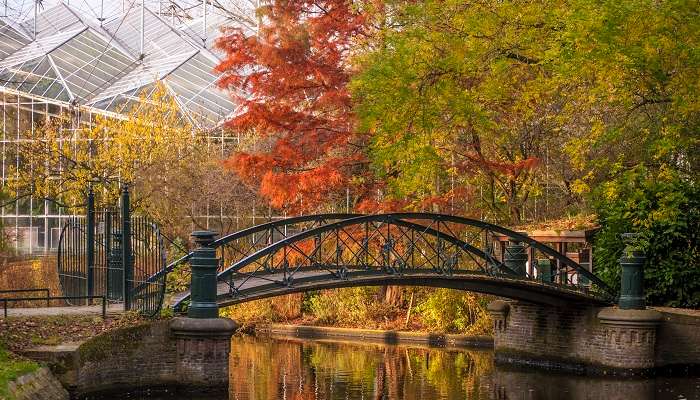 De Hortus Botanicus, la vue magnifiques de printeps , c'est l'une des meilleur endroits à visiter à Amsterdam