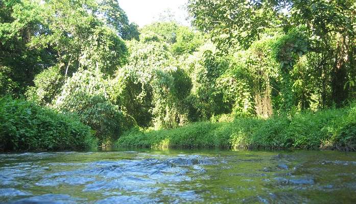 Jalpaiguri, C'est l'une des meilleur  lieux à visiter à l'ouest du bengale