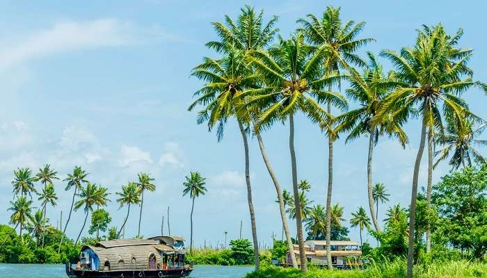 Péniche sur les Backwaters du Kerala à Alleppey