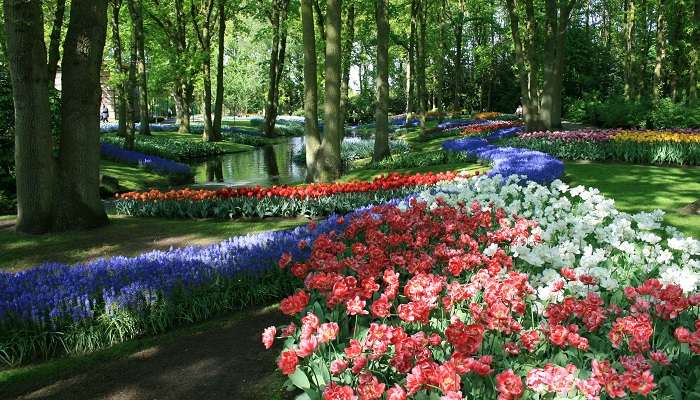 Keukenhof, c'est l'une des meilleur endroits à visiter à Amsterdam