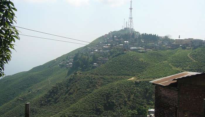 La vue montagne de Kurseong