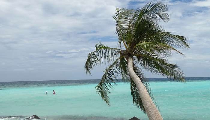 Visiter à L'ile de Maafushi