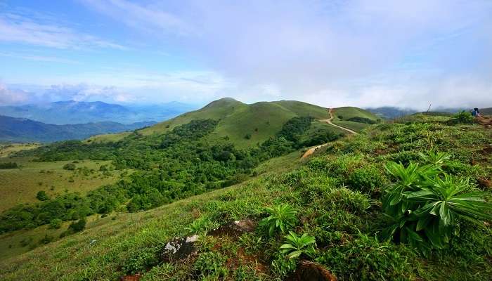 La momtagne de Madikeri, c'est l'une des meilleur lieux à visiter en Inde