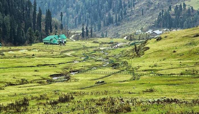 Vallée d'Aru à Pahalgam, c'est l'une des meilleur lieux à visiter en Inde