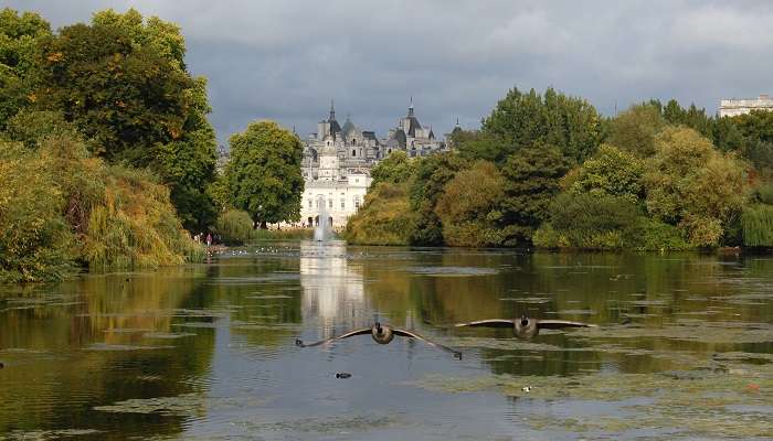 Parc St. James, l'une des meilleur  endroits à visiter à Londres