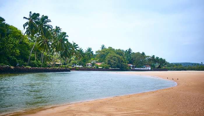 Profitez de la belle vue sur la plage de Calangute