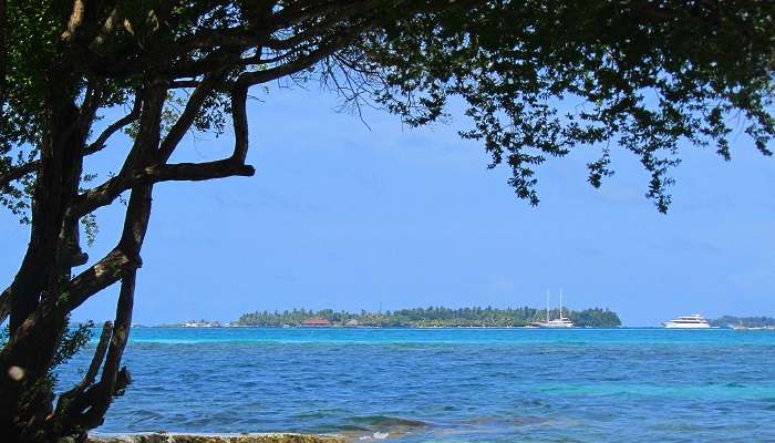 Explorez la Plage de Kurumba aux maldives