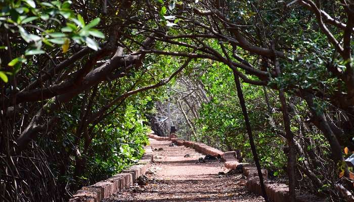 Explorez la Sanctuaires d'oiseaux de Salim