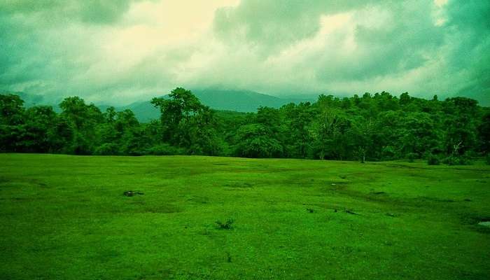 Explorez la Sanctuaire faunique de Cotigao