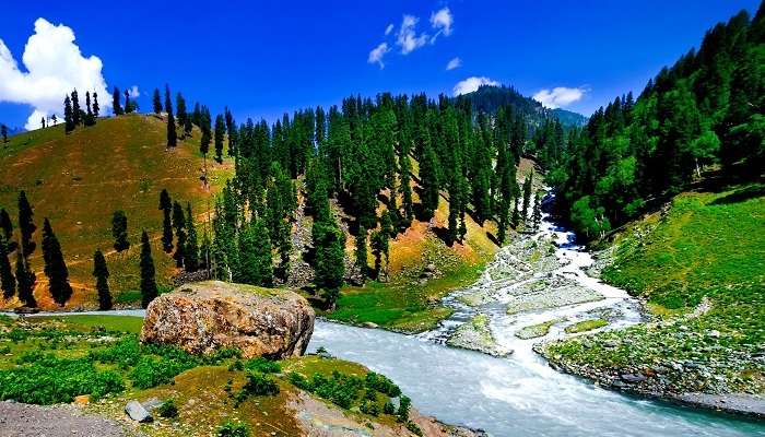 Belle vue sur la montagne avec pins et cascade de Sonmarg ​