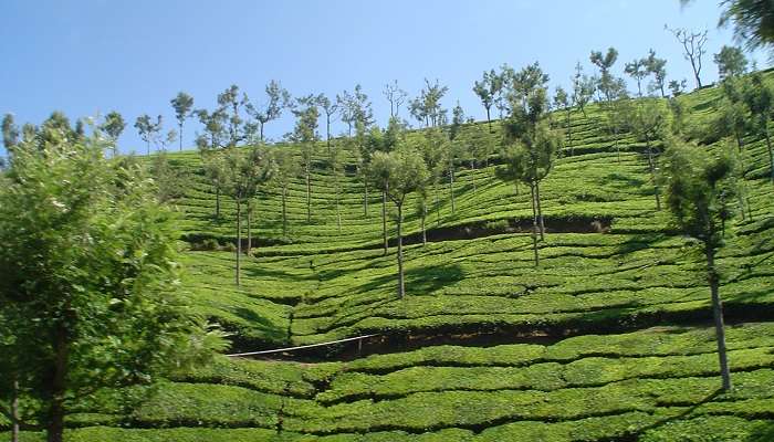 ऊटी सबसे प्रसिद्ध तमिलनाडु में सर्वश्रेष्ठ पर्यटन स्थल में से एक है