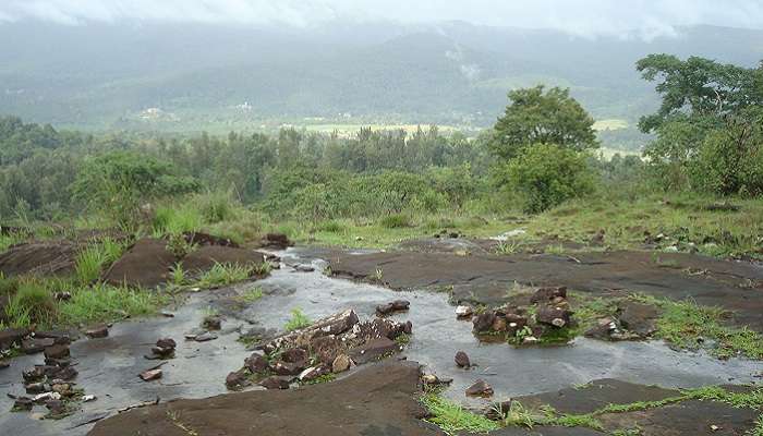 चिकलमंगलूर कर्नाटक के सबसे प्रसिद्ध हिल स्टेशनों में से एक है