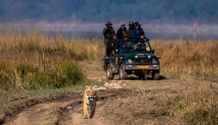 उत्तराखंड में घूमने के लिए स्थान में से एक जिम कॉर्बेट है