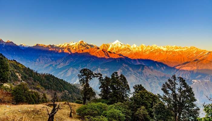 मुनस्यारी अपने प्राकृतिक परिदृश्य के लिए जाना जाता है