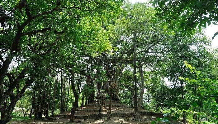 कोलकाता से सप्ताहांत का दौरे पर शांतिनिकेतन सबसे अच्छी जगह है