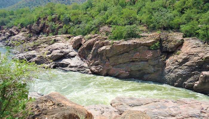 संगम और मेकेदातु बेंगलुरु के आसपास एक दिन में देखने लायक जगहें है