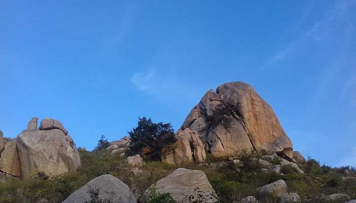 हॉर्स्ले हिल्स बेंगलुरु के आसपास एक दिन में देखने लायक जगहें में से एक है