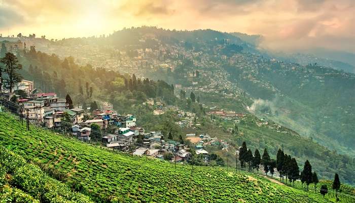 Darjeeling, Bengale Occidentale, c'est l'une des meilleures stations de montagne à visiter en Inde