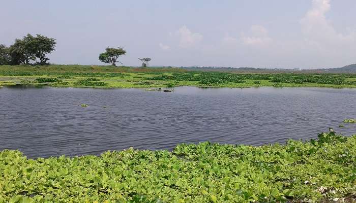 Dipor Bil, c'est l'une des meilleur meilleur endroit touristique de l’Assam