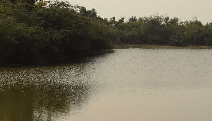 Henrys island est l'une des meilleur escapades de week-end au départ de Kolkata