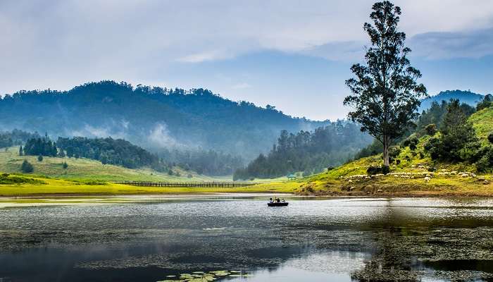 Kodaikanal- Tamil Nadu, c'est l'une des meilleures stations de montagne en Inde