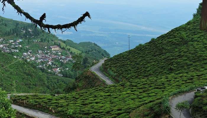 Kurseong, Bengale occidental, c'est l'une des meilleures stations de montagne en Inde