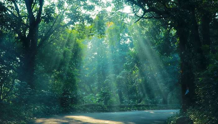 Lambasingi, Andhra Pradesh, c'est l'une des meilleures stations de montagne en Inde