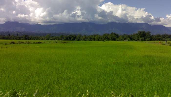 Lilabari, c'est l'une des meilleur lieux touristiques en Assam