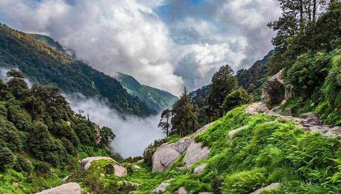 Mcleodganj, la belle stations de montagne, c'est l'une des meilleur lieux à visiter en Inde