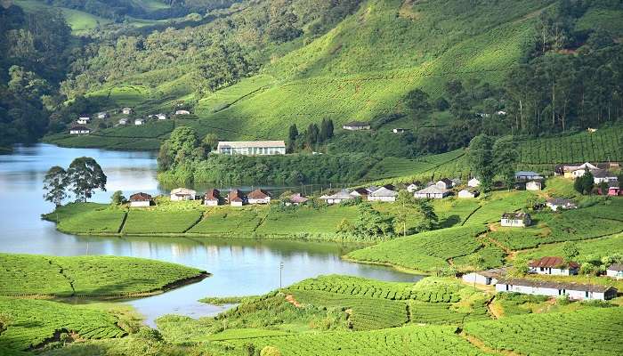 Meghamalai, Tamil Nadu, c'est l'une des meilleures stations de montagne à visiter en Inde