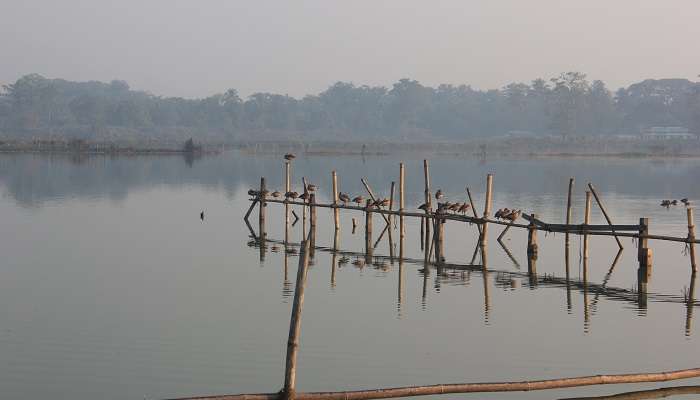 Padam Pukhuri, c'est l'une des meilleur endroit touristique de l’Assam