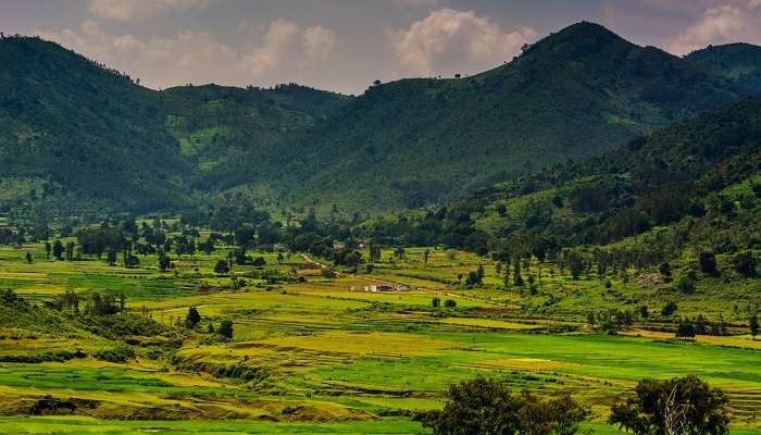 Vallee d'Araku, Andhra Pradesh, c'est l'une des meilleures stations de montagne à visiter en Inde