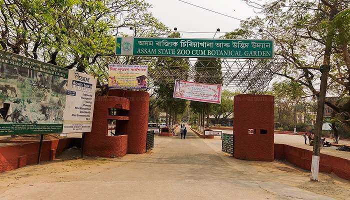 Zoo et jardin botanique de l'État d'Assam, c'est l'une des meilleur lieux touristiques en Assam