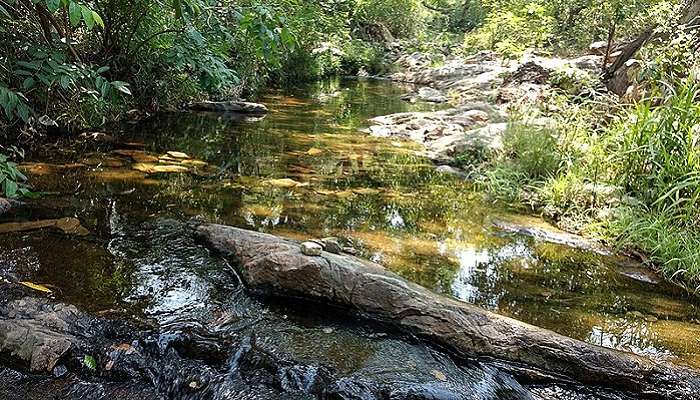 नागालपुरम चेन्नई के निकट पर्यटन स्थल में से एक है