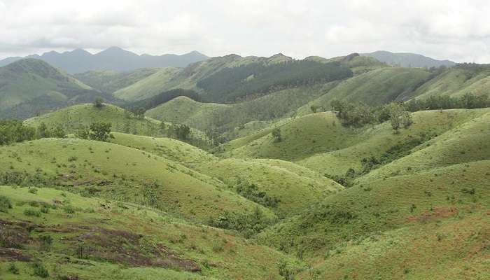 वागामोन गर्मियों में भारत में घूमने के लिए अच्छी जगहें है