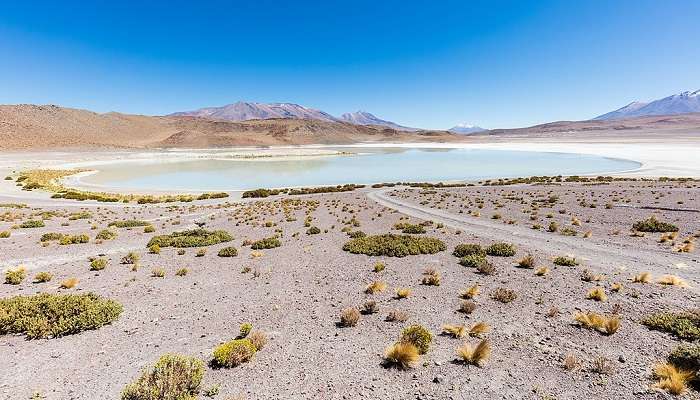 Bolivie, c'est l'une des meilleurs endroits à visiter en avril