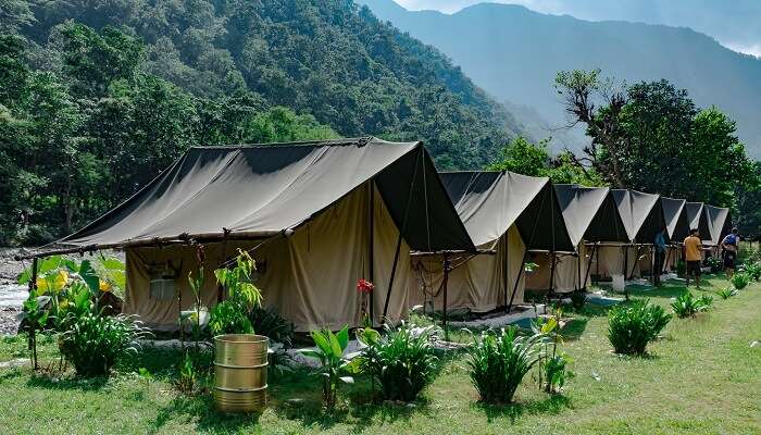 La camp sur le banque de fleuve ganga entre la foret en Rishikesh