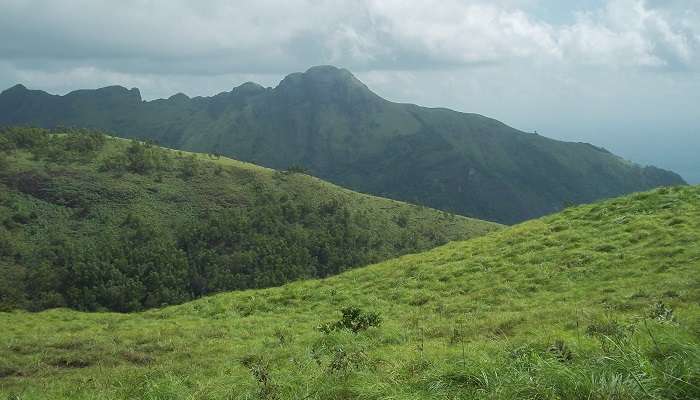 Collines de Ponmudi, Kerala, C’est l’une des meilleurs lieux touristiques en Inde du Sud pendant l’été 