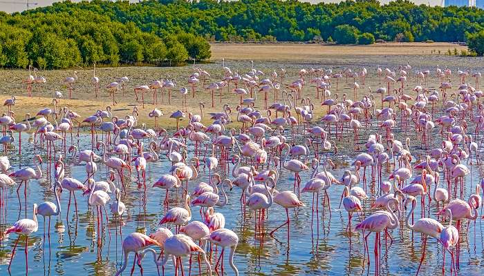 Discover the hides in Dubai