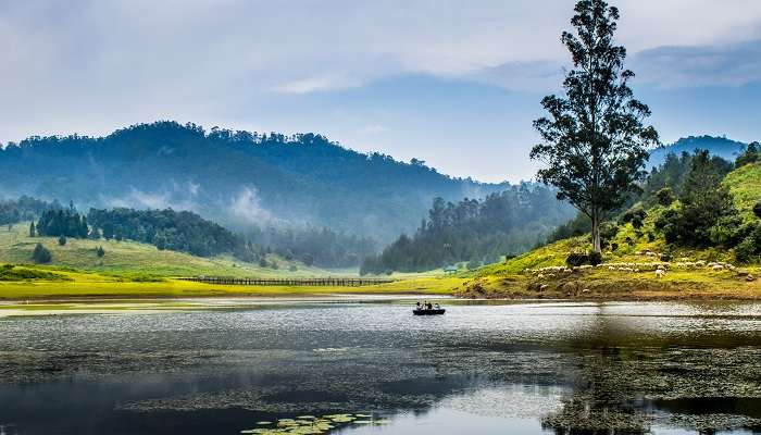 La vue incroyable de Kodaikanal lac, C’est l’une meilleurs endroits à visiter en février en Inde