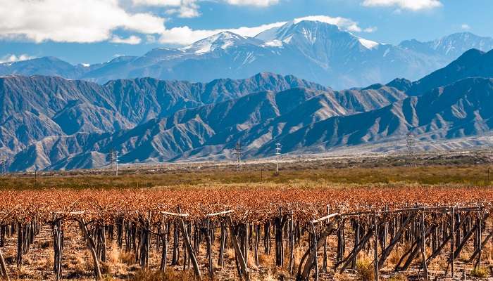 Mendoza, C’est l’une des meilleur lieux à visiter en février dans le monde